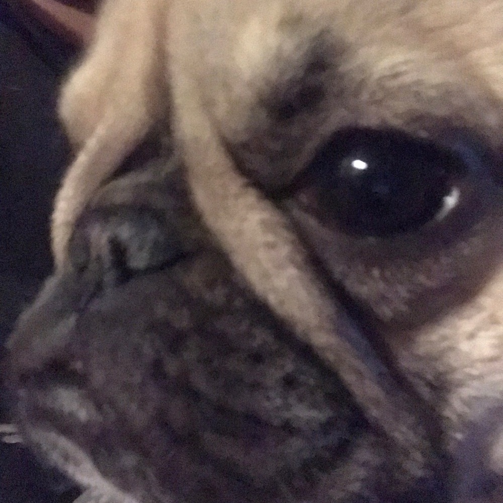 Meet your Posher, Austin